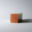 隨處淨土