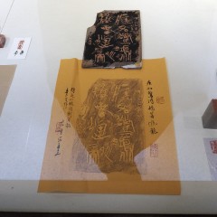 P1180423.jpg