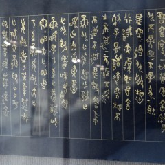 P1180446.jpg